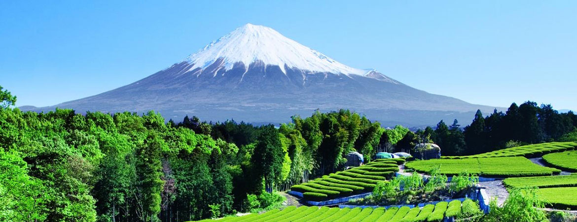 Mt. Fuji